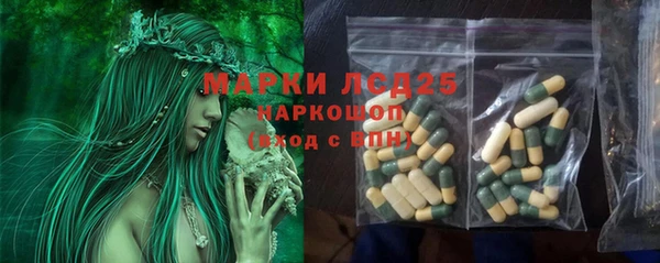 прущие крисы Арсеньев