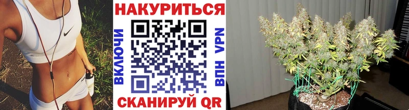 МАРИХУАНА конопля  кракен маркетплейс  Бакал  даркнет сайт 